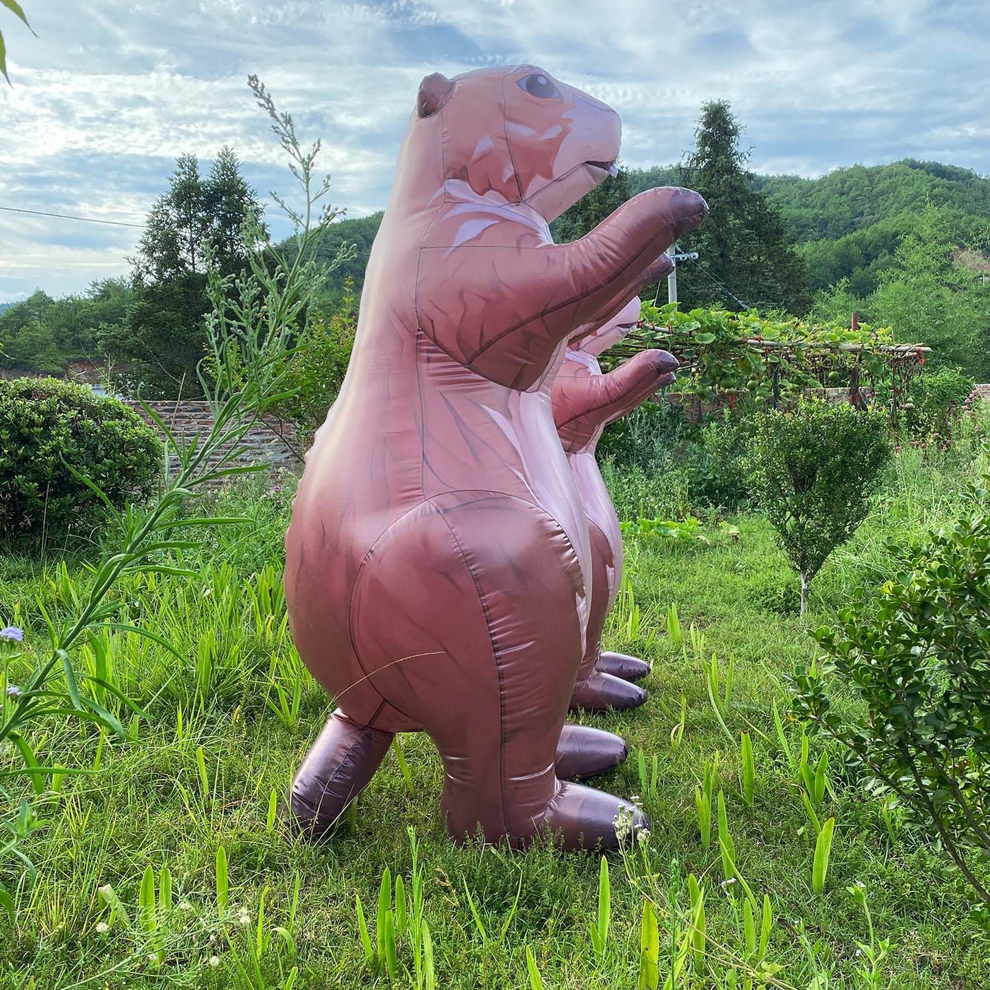 inflatable prairie dog costume, cute animal costume