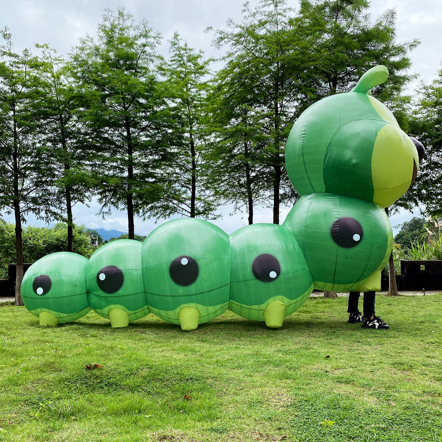 Inflatable caterpillar costume. Bug walking large mascot