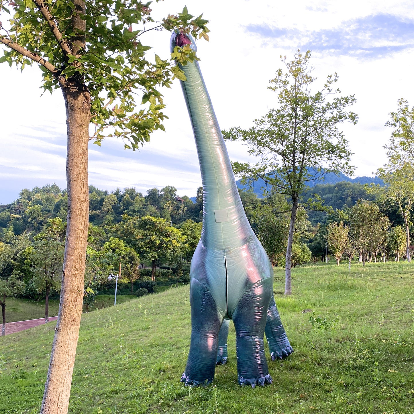 Mamenchisaurus inflatable costume, Giraffatitan dinosaur costume