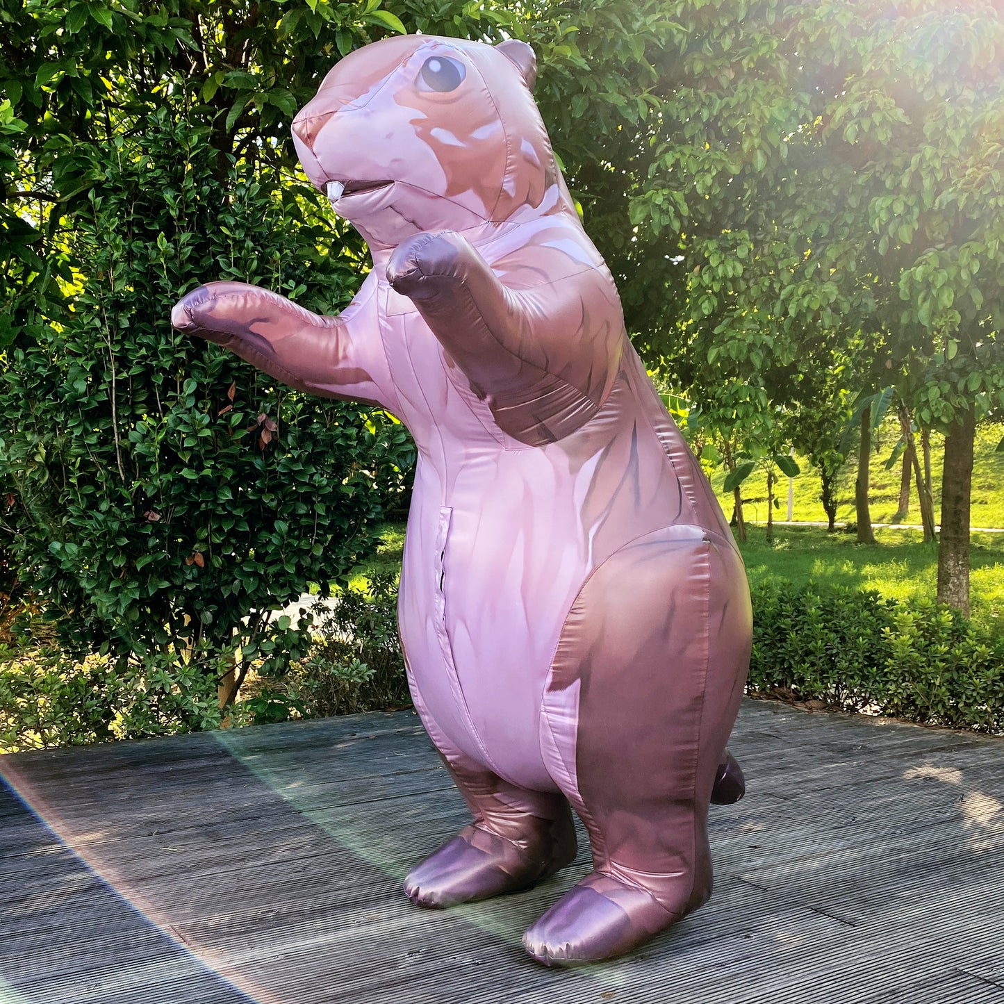 inflatable prairie dog costume, cute animal costume